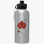 Цветок. Орхидея