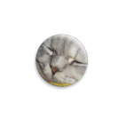 Кот Пафнутий