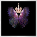 'Бабочка власти'