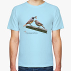 Обыкновенные горихвостки