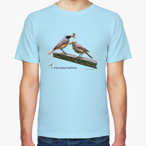 Футболка с принтом Обыкновенные горихвостки