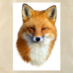  Благородный Лис