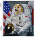 Doge Astronaut