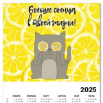 Больше солнца в твоей жизни! Позитивный кот.