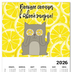 Больше солнца в твоей жизни! Позитивный кот.