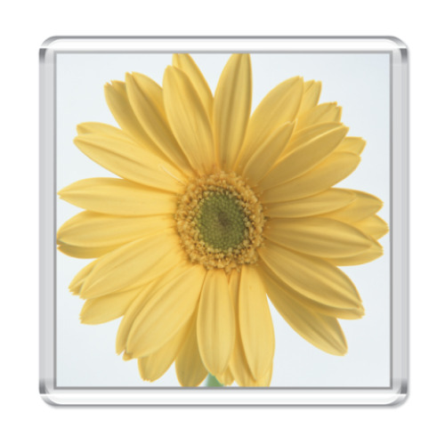 Магнит   Цветок