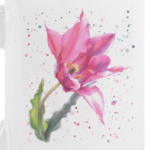 Яркий тюльпан