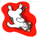 Эти веселые коты