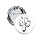 Череп Бобра