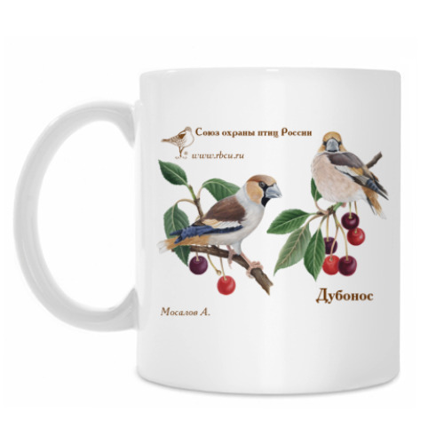Кружка с принтом Дубоносы
