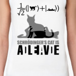 Котэ Шрёдингера