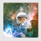 Котик космический