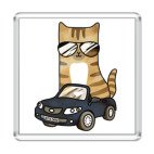 Крутой кот за рулём автомобиля