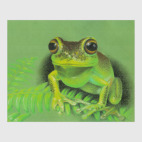 Жемчужная квакша