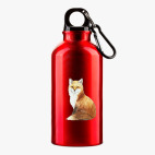 Металлическая бутылка 400 мл UV-DTF