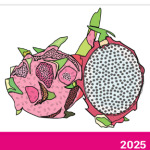 SUMMER FRUIT  Dragon Fruit