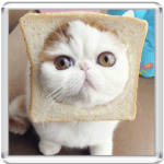 Котохлебинг