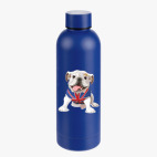 Термобутылка