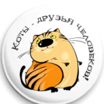  Коты - друзья