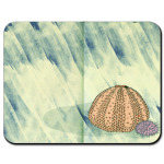 морские ежи