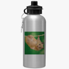 Спортивная бутылка