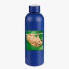 Термобутылка