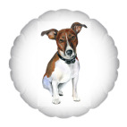 Джек рассел терьер