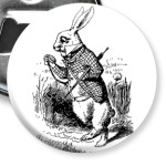 В кроличью нору