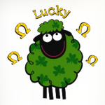 Ирландская овечка