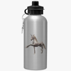 Спортивная бутылка