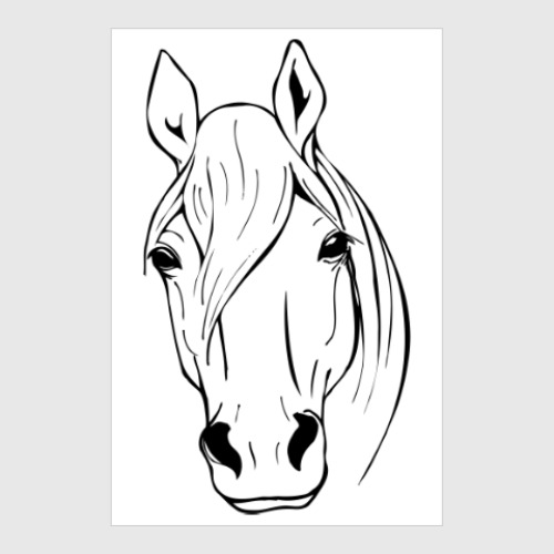 Постер с принтом лошадь