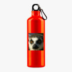 Металлическая бутылка 700 мл UV-DTF