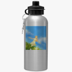 Спортивная бутылка