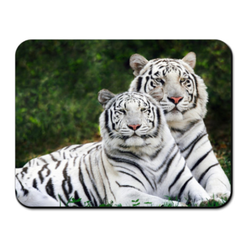 Коврик для мыши с принтом белые тигры
