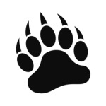 Лапа медведя