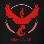 Pokemon Team Клан VALOR