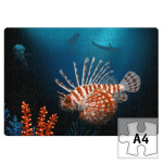 Подводный мир и рыба крылатка