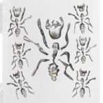 Металлические Муравьи