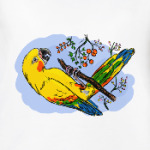 Попугай на ветке