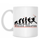 House evolution