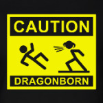 Caution ! Dragonborn . Skyrim