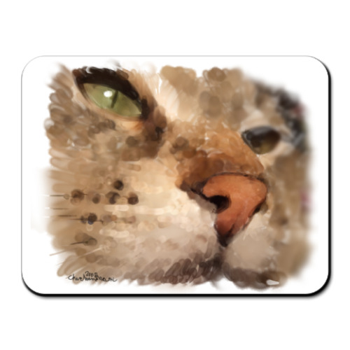 Коврик для мыши с принтом Котяра