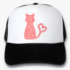 Кепки Trucker