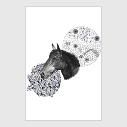 Постер Лошадь - мята