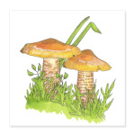 Уютные грибы