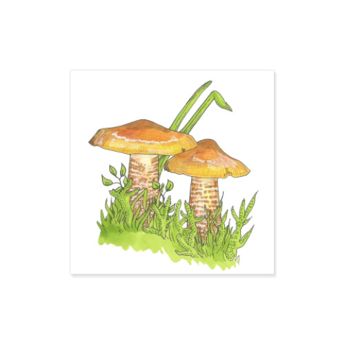 Виниловые наклейки Уютные грибы
