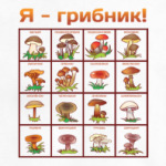 Я-грибник!