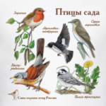 5 птиц сада