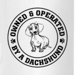 Owned & Operated By Dachshund