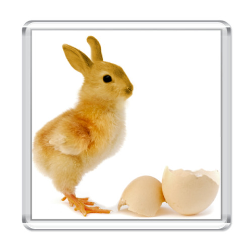 Магнит Курица-кролик